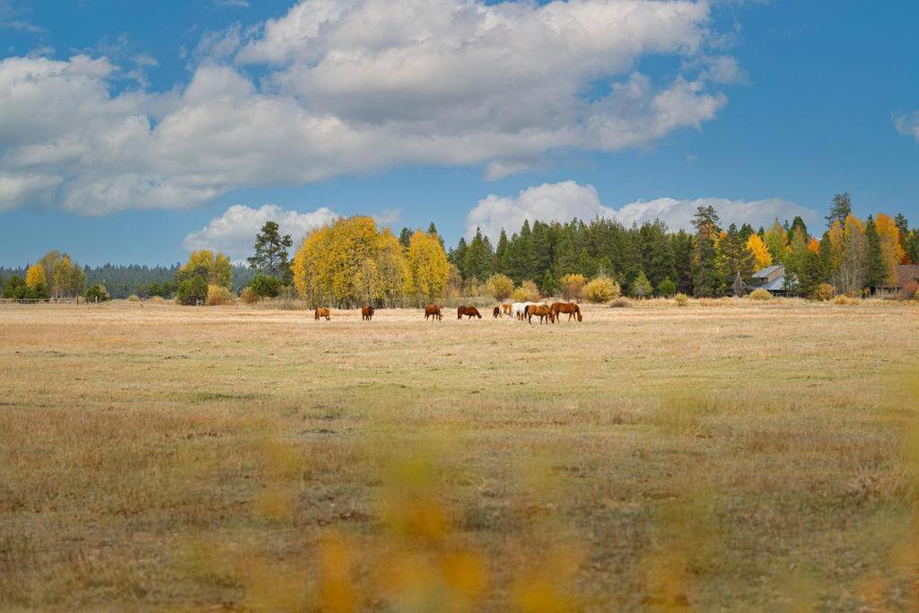 Coyote - Unit 15 Villa Sunriver Exterior photo